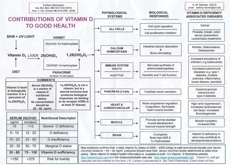 Chart ; wikipage http://www.vitamindwiki.com/tiki-index.php?page_id=1370