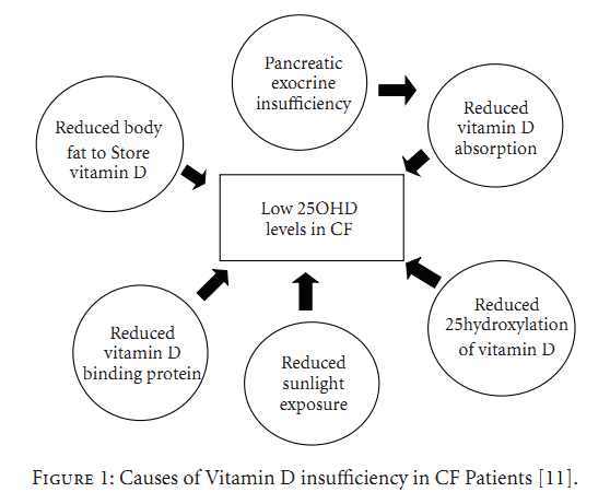 see wikipage: http://www.vitamindwiki.com/tiki-index.php?page_id=2335
Many reasons for insufficiency for CF are shared with many other diseases