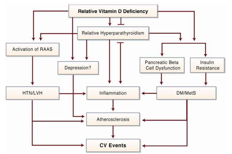 Vitamin D and Cardiovascular @is.gd/dnotfad