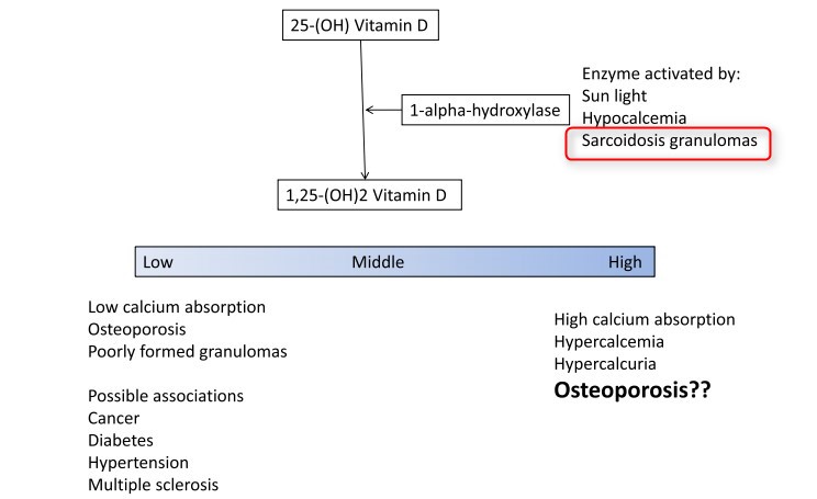 Vitamin D Levels In Sarcoidosis Diet